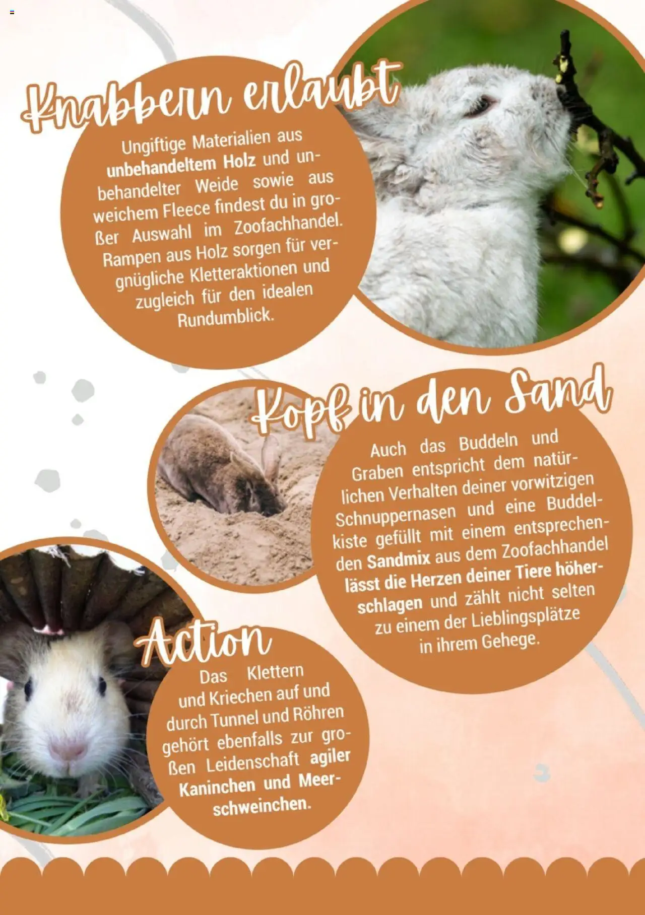 zookauf Kleintier Fibel - Seite 7 - gültig ab 05.06.2025