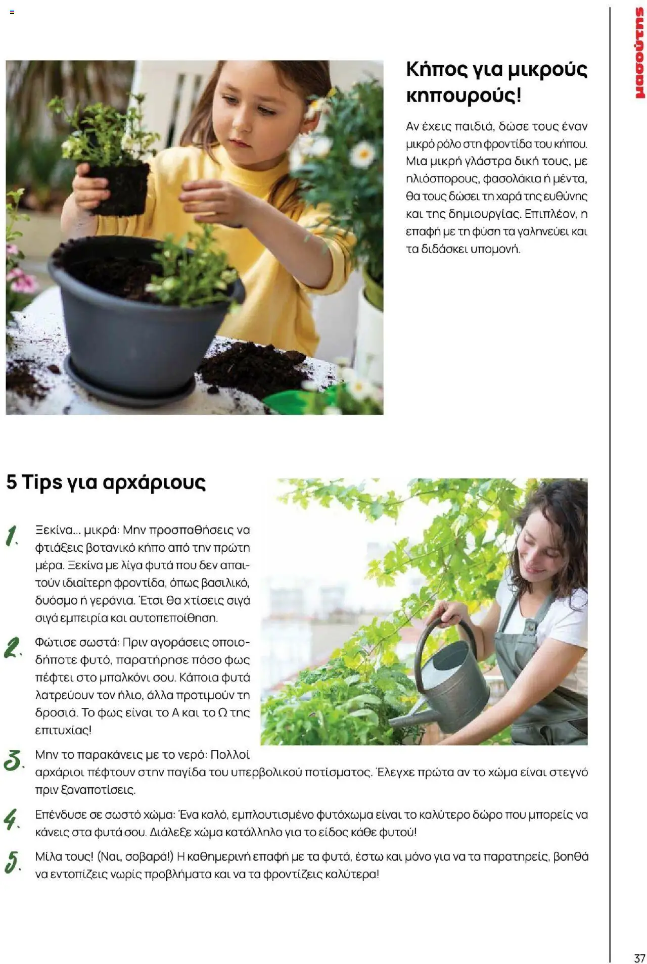 Μασούτης - Καλοκαίρι - Γεύσεις & εμπνεύσεις - page 37- valid from 18/06/2025