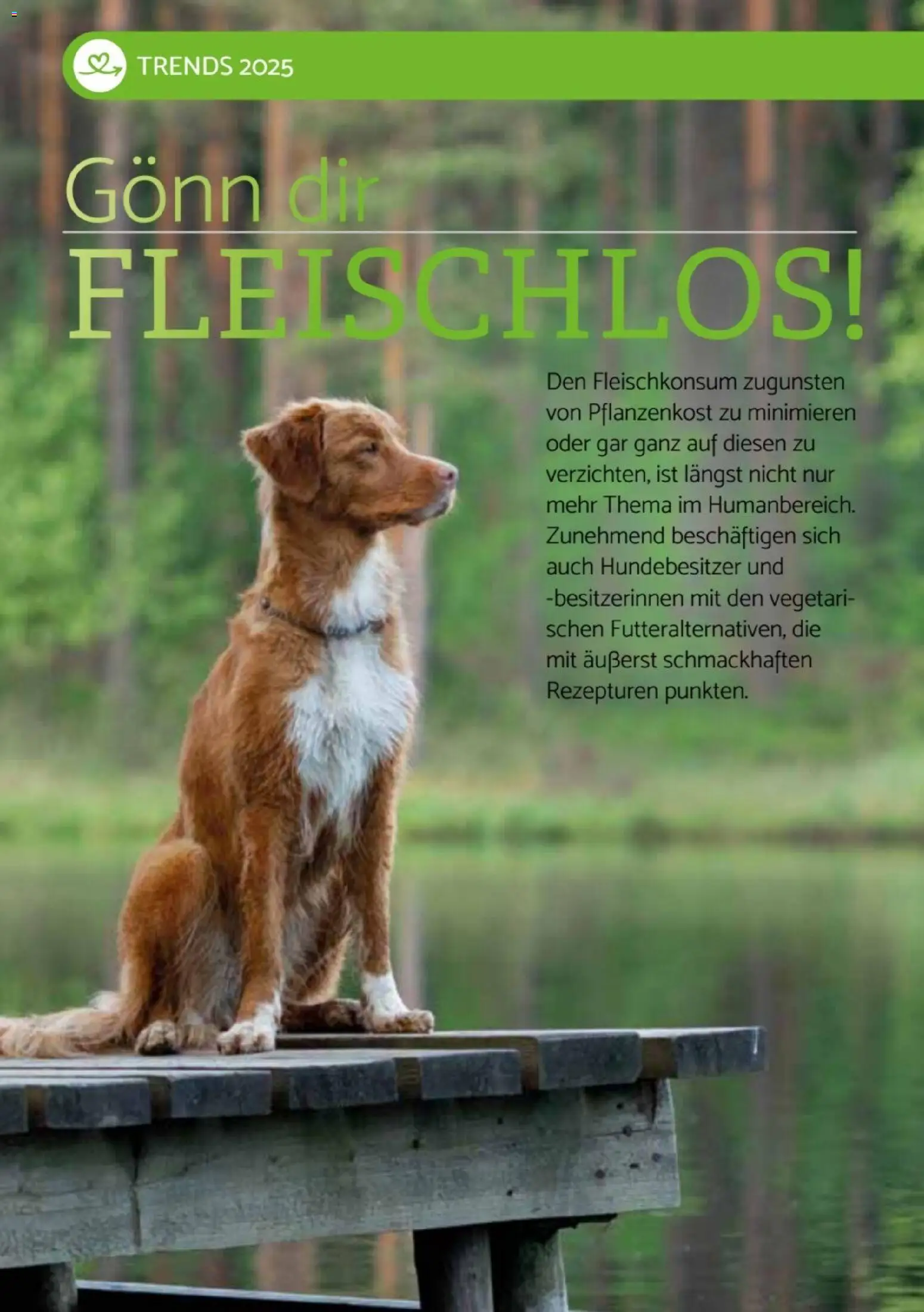 zookauf  Heimtier Journal Special - Seite 12 - gültig ab 01.12.2025