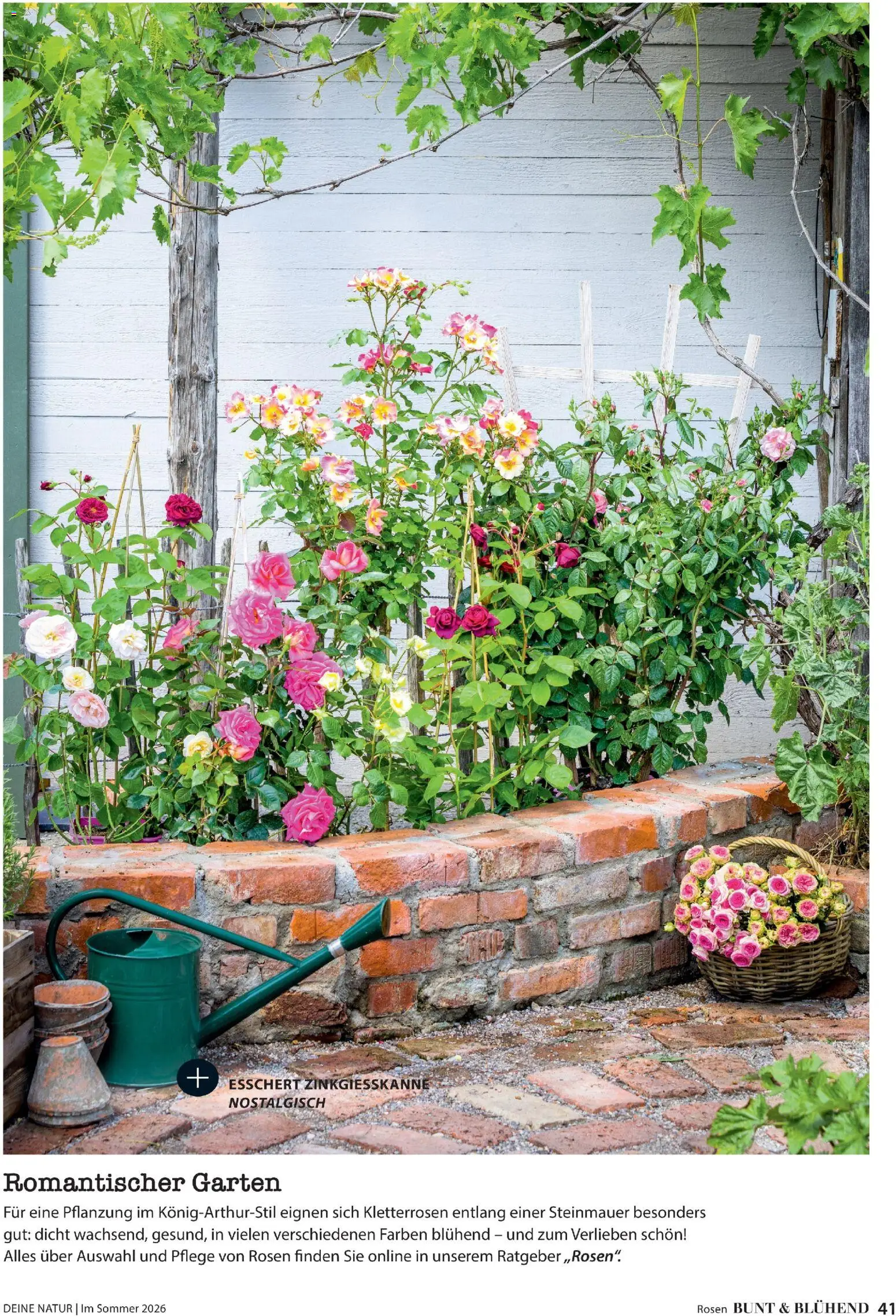 Dehner Prospekt 	 - Seite 41 - gültig ab 17.04.2026