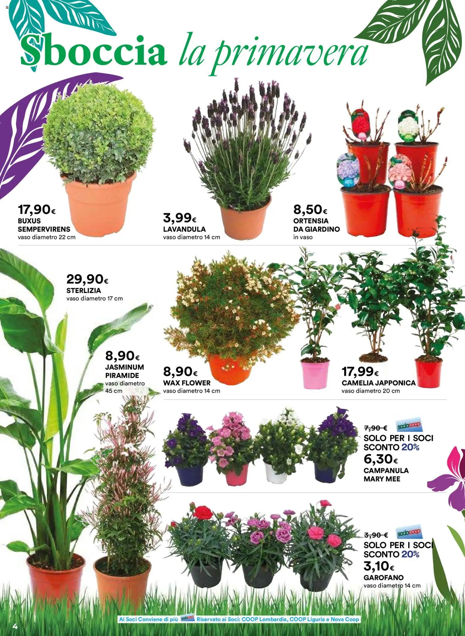 Ipercoop Aria di Primavera - Lombardia catalogo - pagina 4 - valido dal 26/02/2026