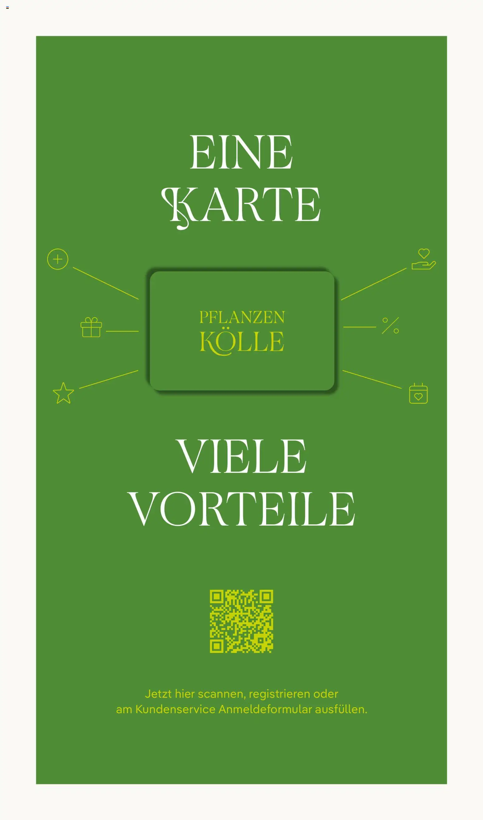 Pflanzen-Kölle Prospekt 	 - Seite 19 - gültig ab 02.03.2026