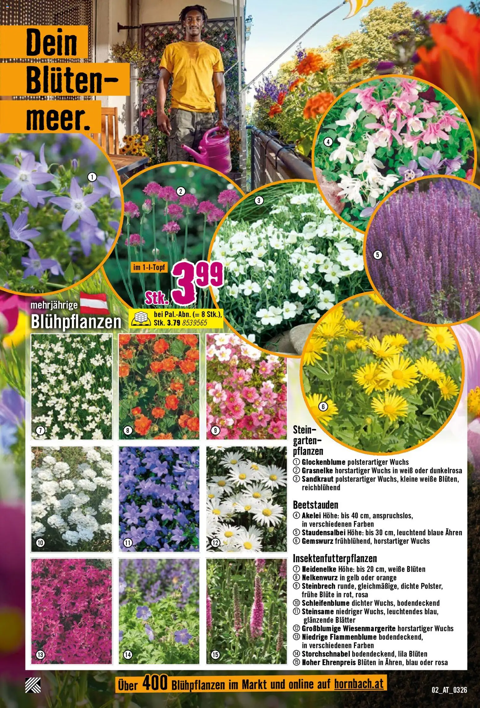 Hornbach Flugblatt - page 2- valid from 17.03.2026