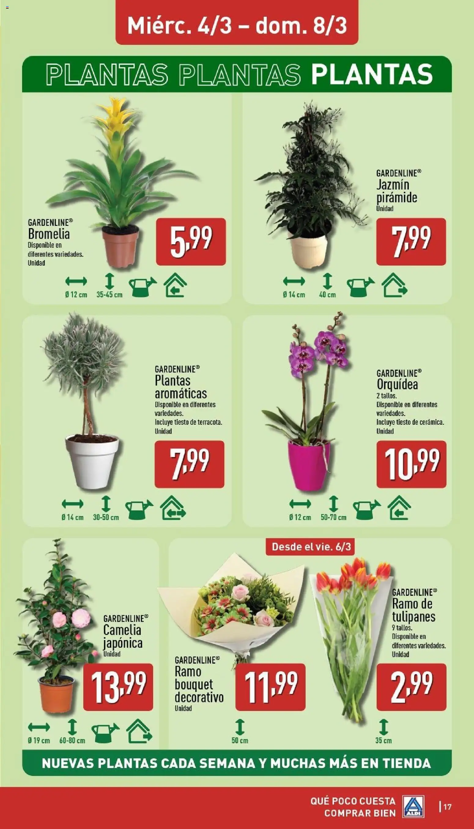 Aldi folleto Península - Página de 17 - Válido desde 02/03/2026