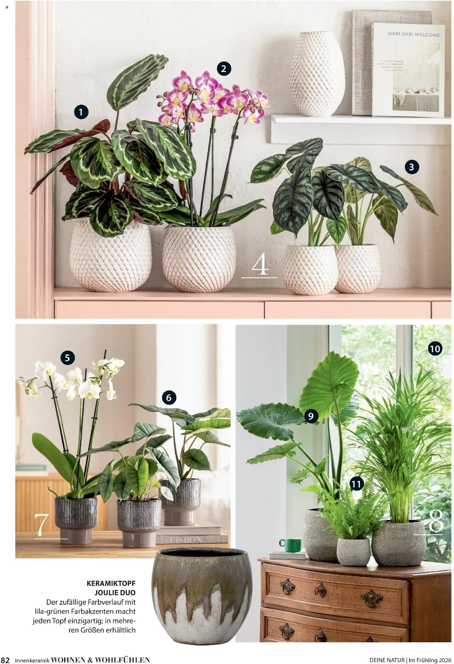 Dehner Prospekt 	 - Seite 82 - gültig ab 04.03.2026