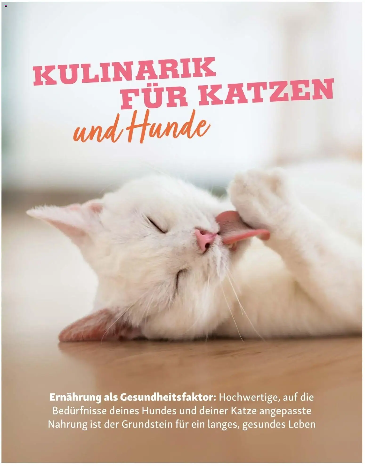 Fressnapf Friends 02/26 - page 16- valid from 01.03.2026