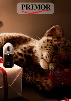 Vista previa del folleto Primor folleto válido desde 11/12/2025