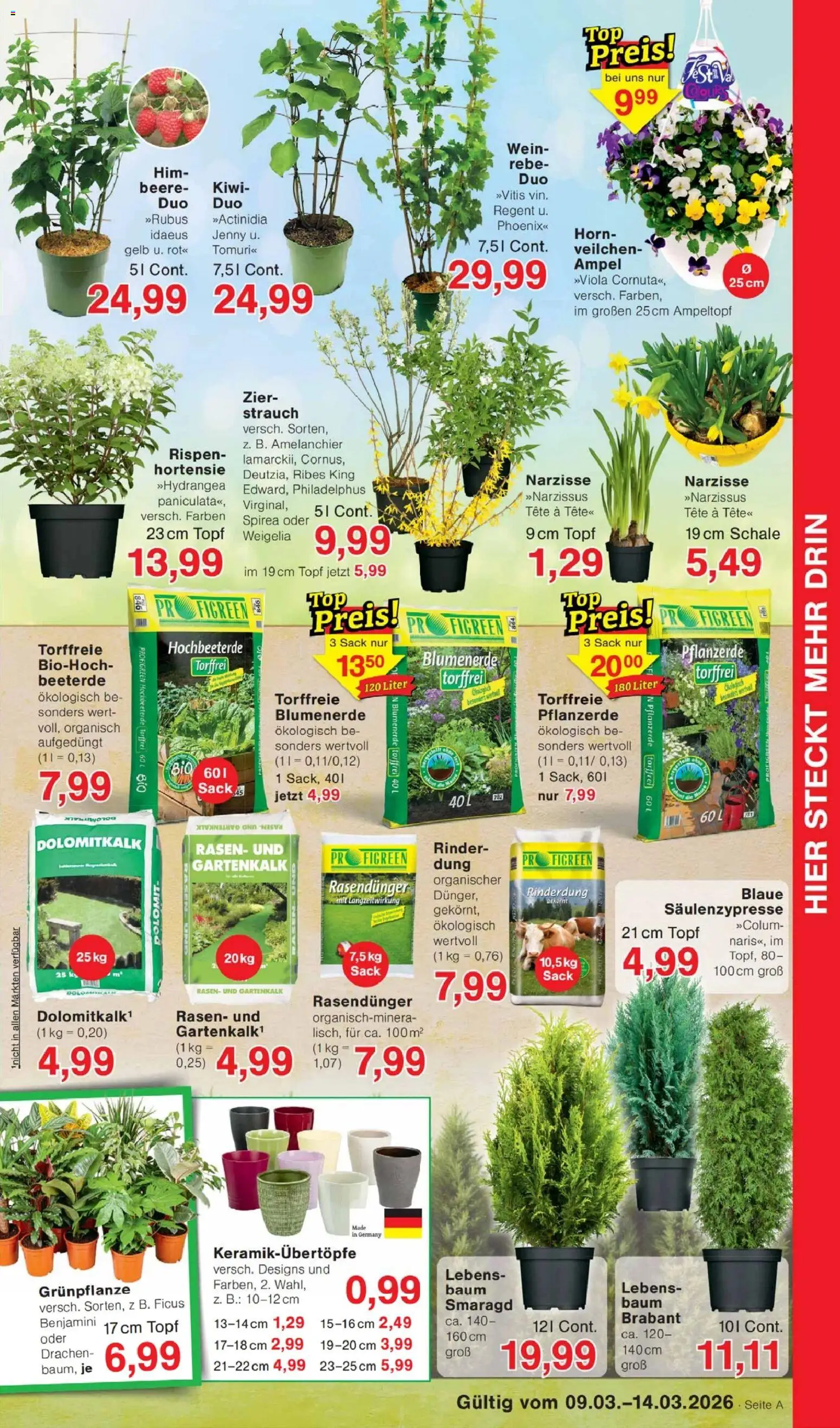 Jawoll Prospekt - Seite 5 - gültig ab 09.03.2026