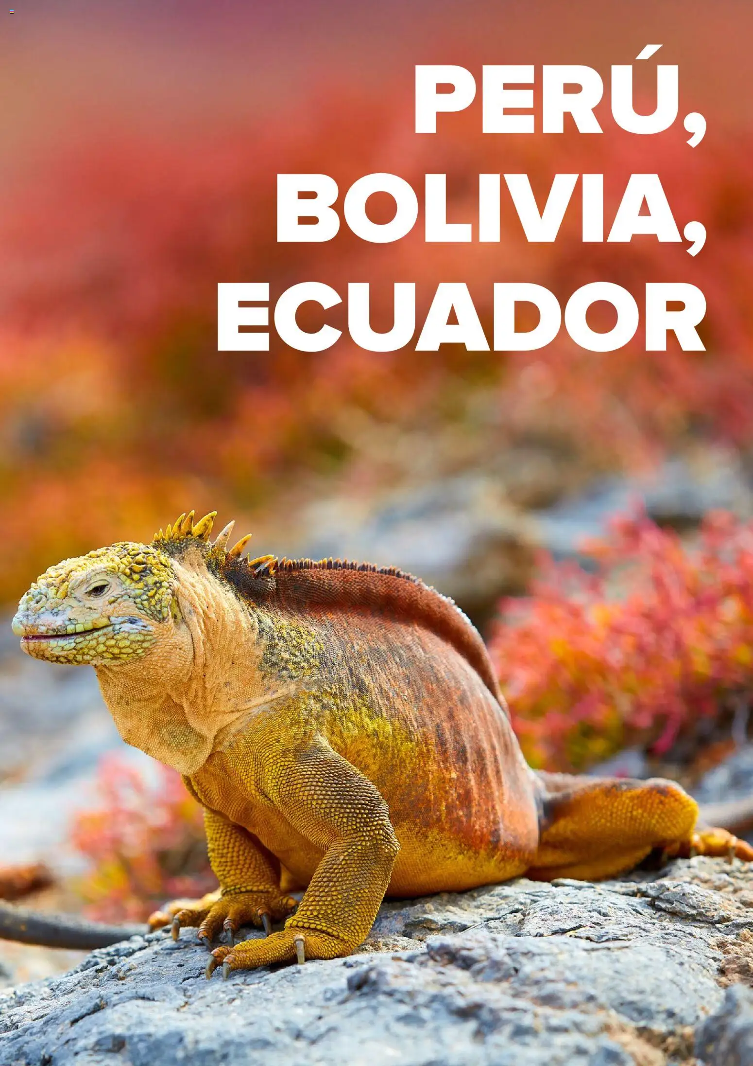 Viajes El Corte Inglés Centroamérica y Sudamérica - Página de 46 - Válido desde 01/01/2026