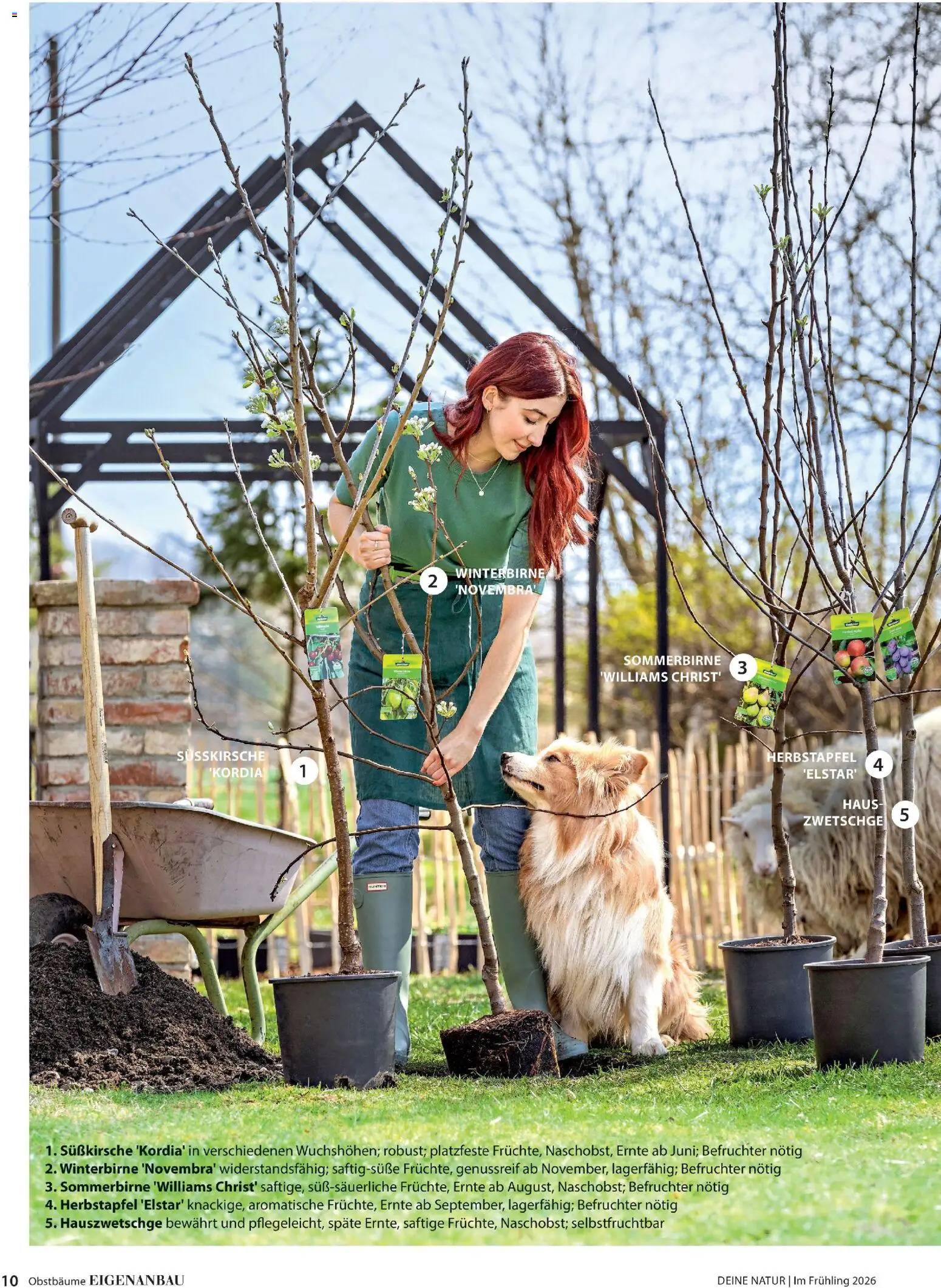 Dehner Prospekt 	 - Seite 10 - gültig ab 04.03.2026