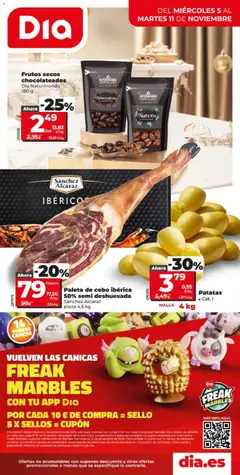 Vista previa del folleto DIA folleto Market válido desde 05/11/2025