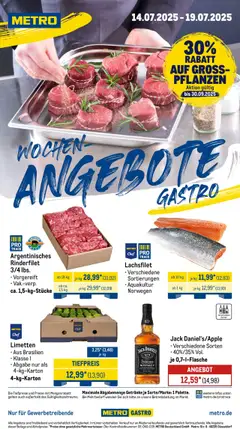 Vorschau Metro Wochen-Angebote Gastro gültig ab 14.07.2025