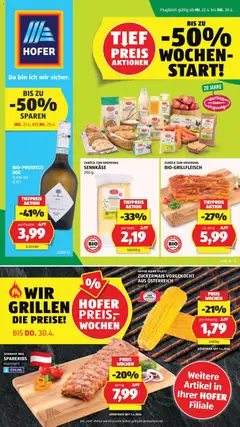 Vorschau Hofer Flugblatt gültig ab 22.04.2026
