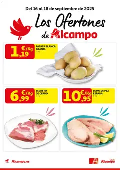 Vista previa del folleto Alcampo - Pasamanos  válido desde 16/09/2025