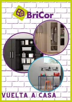 Vista previa del folleto BriCor folleto válido desde 01/09/2025