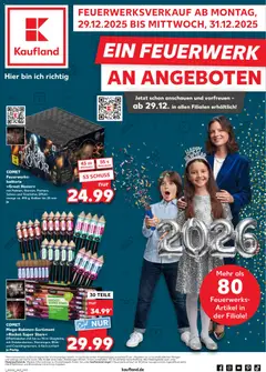 Kaufland DE - DE Folder geldig vanaf 29-12-2025