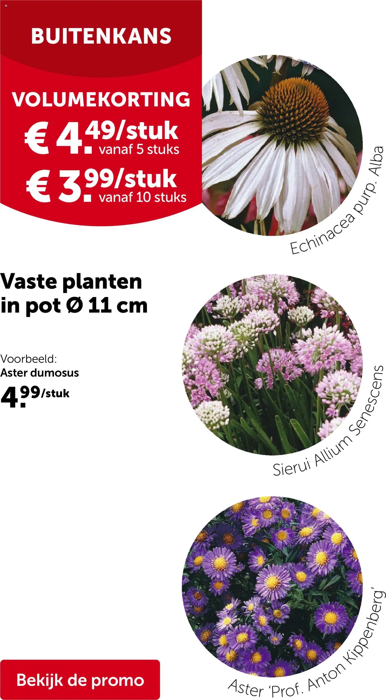 Aveve folder - page 8- valid from 08/04/2026