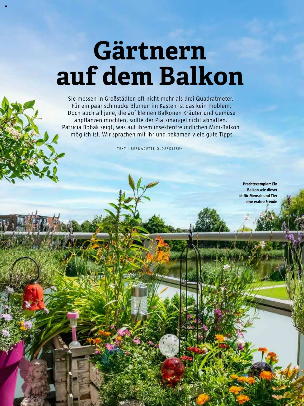 Bauhaus passt! Magazin - Seite 18 - gültig ab 10.03.2025
