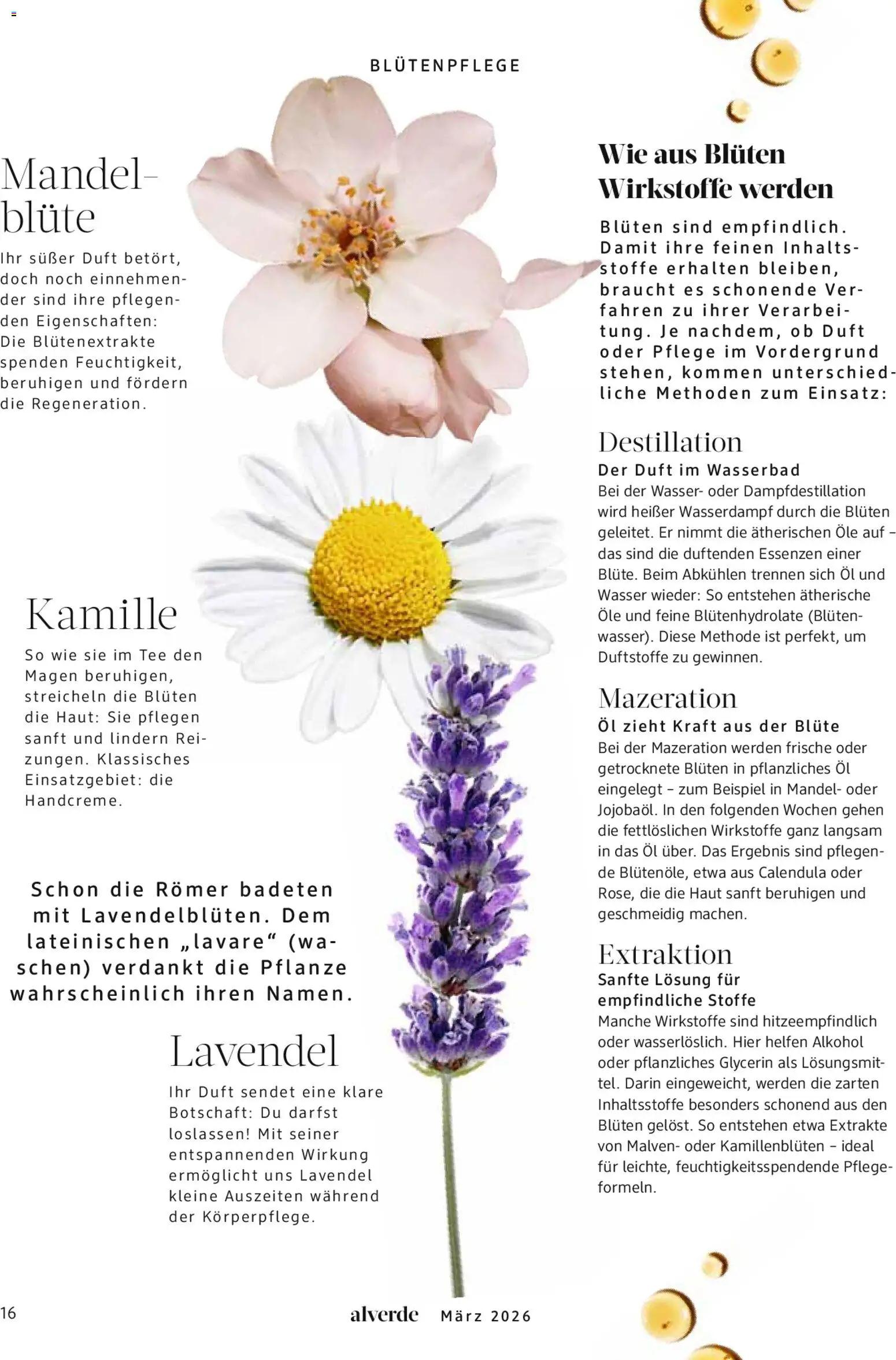 dm drogerie Prospekt 	 - Seite 16 - gültig ab 01.03.2026