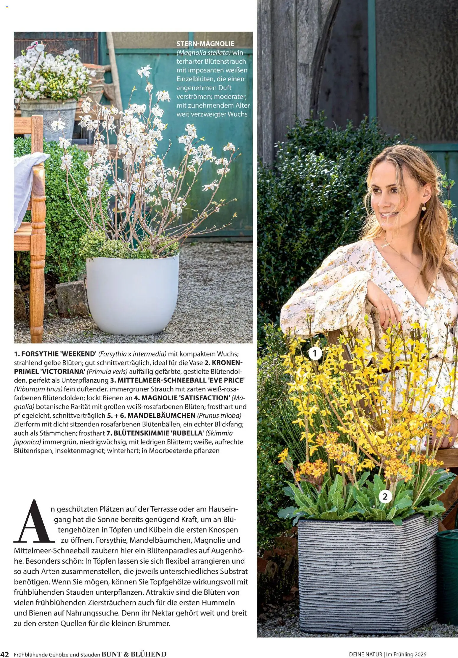 Dehner Prospekt 	 - Seite 42 - gültig ab 04.03.2026