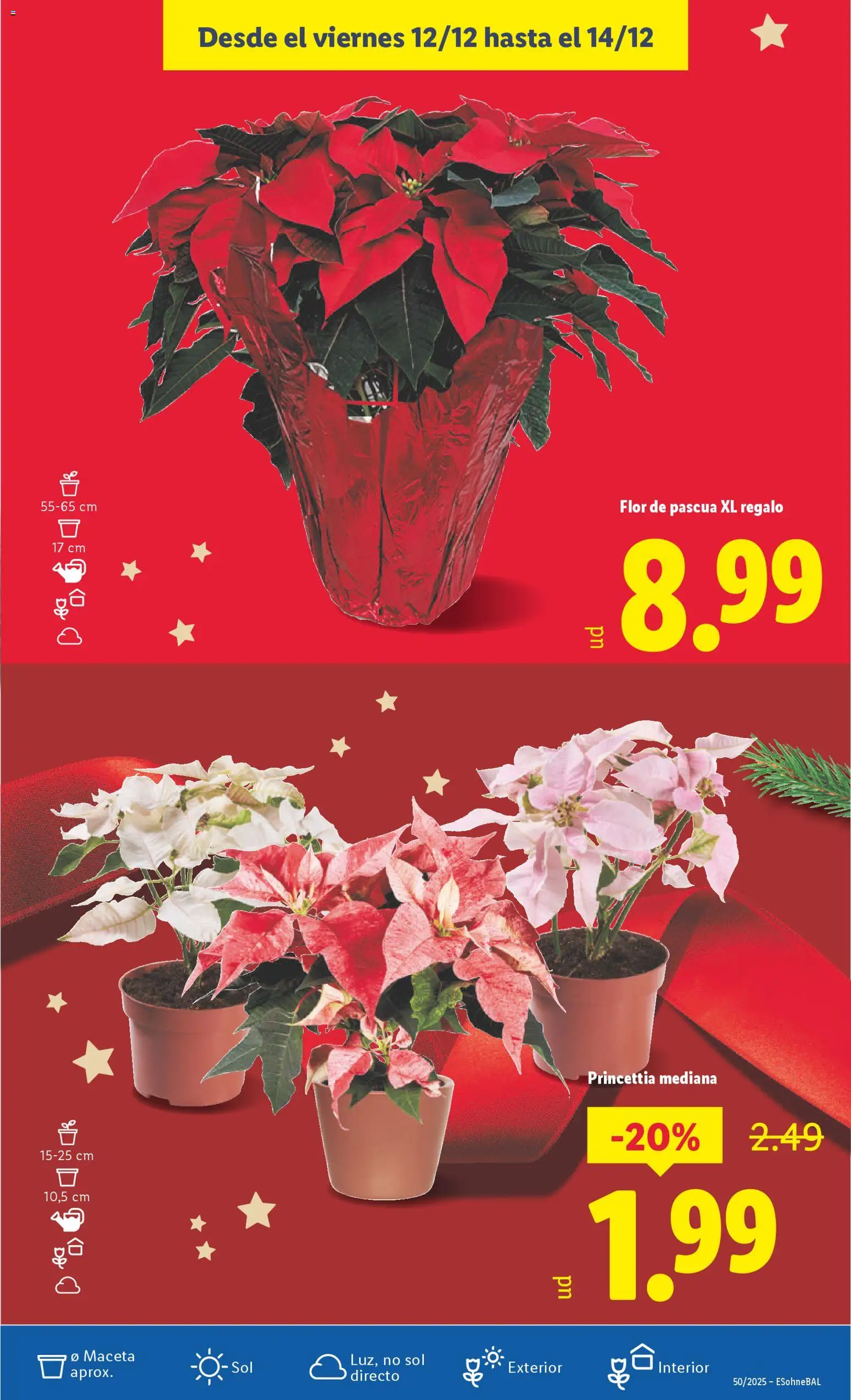 Lidl folleto - Página de 53 - Válido desde 08/12/2025