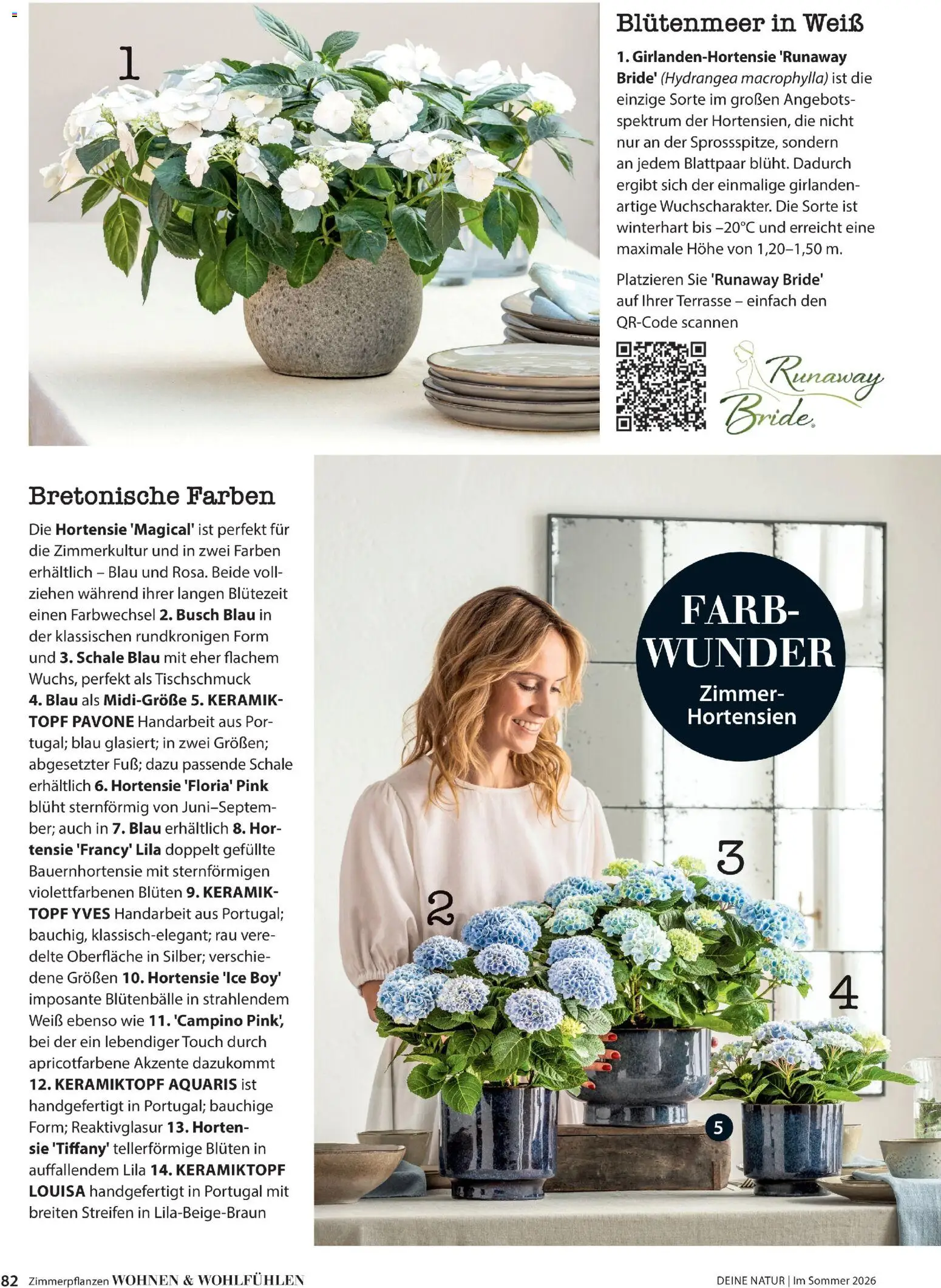 Dehner Prospekt 	 - Seite 82 - gültig ab 17.04.2026