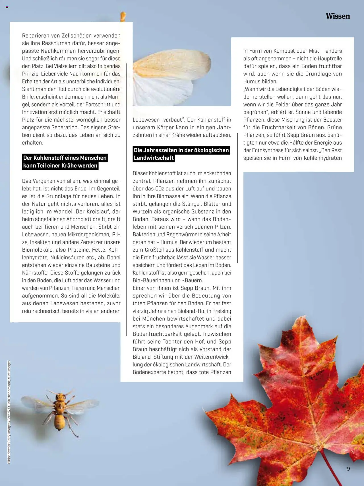 Denns BioMarkt KREO Magazin - Seite 9- gültig ab 14.07.2025