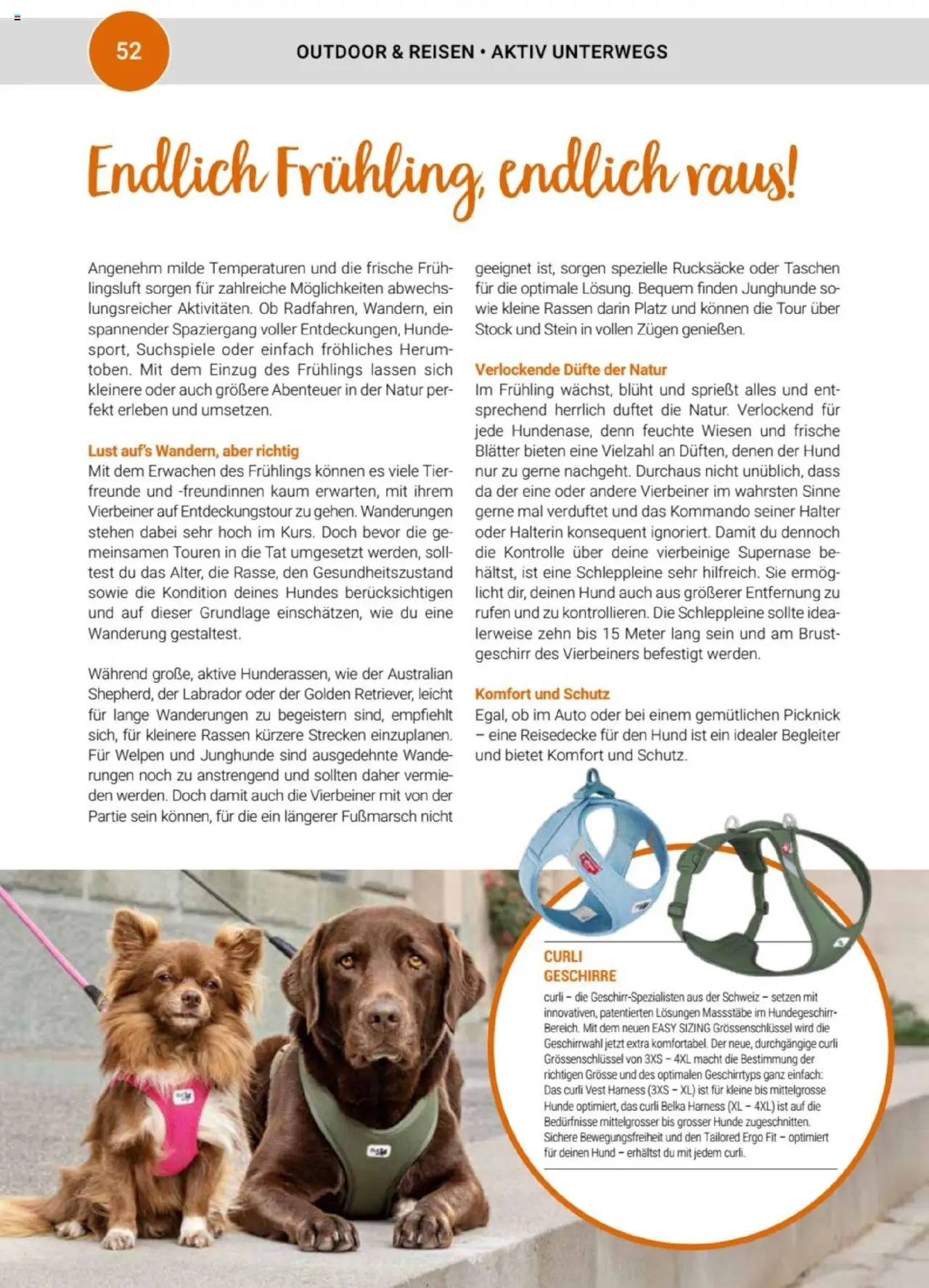 zookauf  Themenkatalog Hund - Seite 52 - gültig ab 20.05.2025