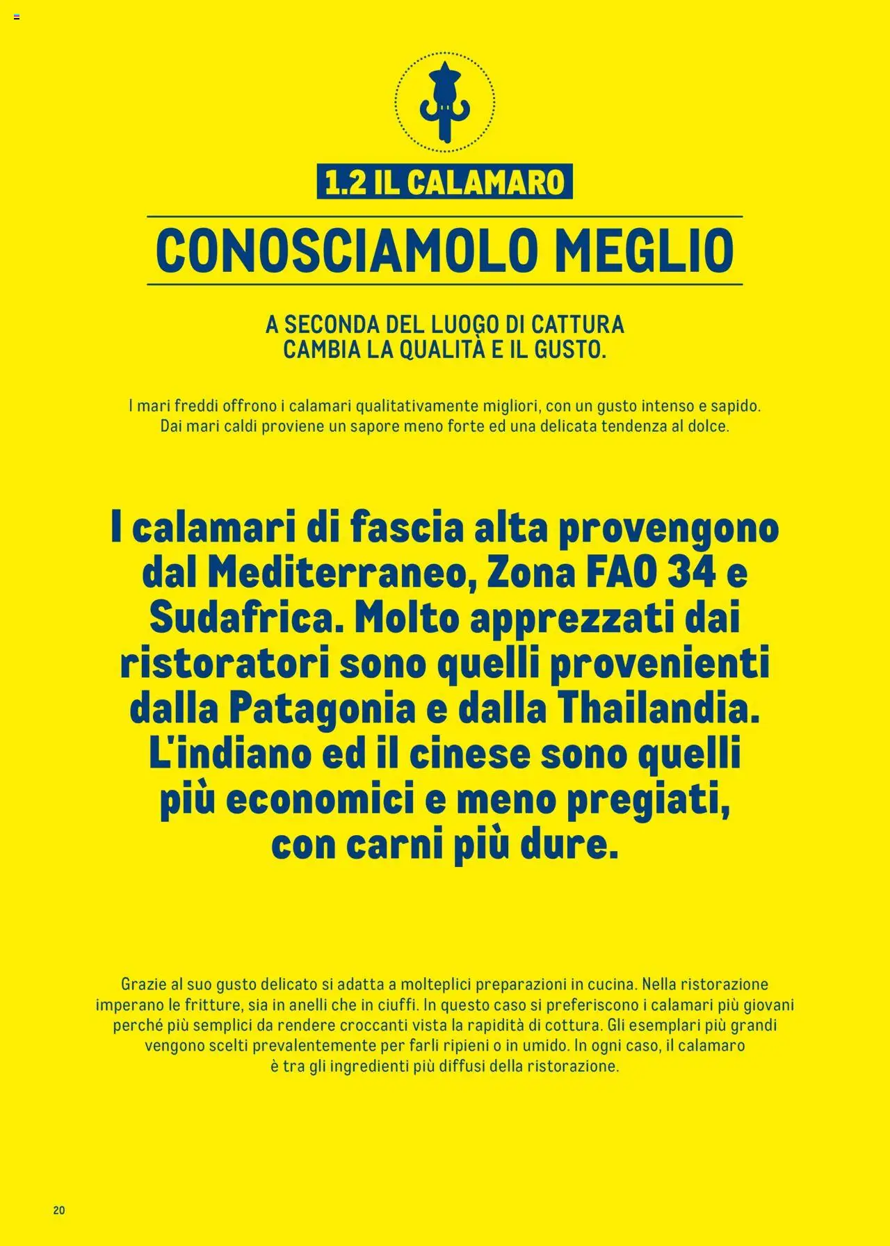 Metro Surgelati 2025 catalogo - pagina 20 - valido dal 30/06/2025