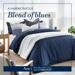 Preview Volpes A Harmonious Blend of Blues valid from 15/10/2025