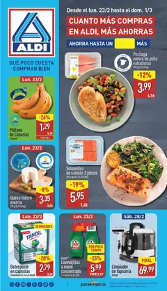 Vista previa del folleto Aldi folleto Canarias válido desde 23/02/2026