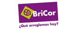 BriCor logo