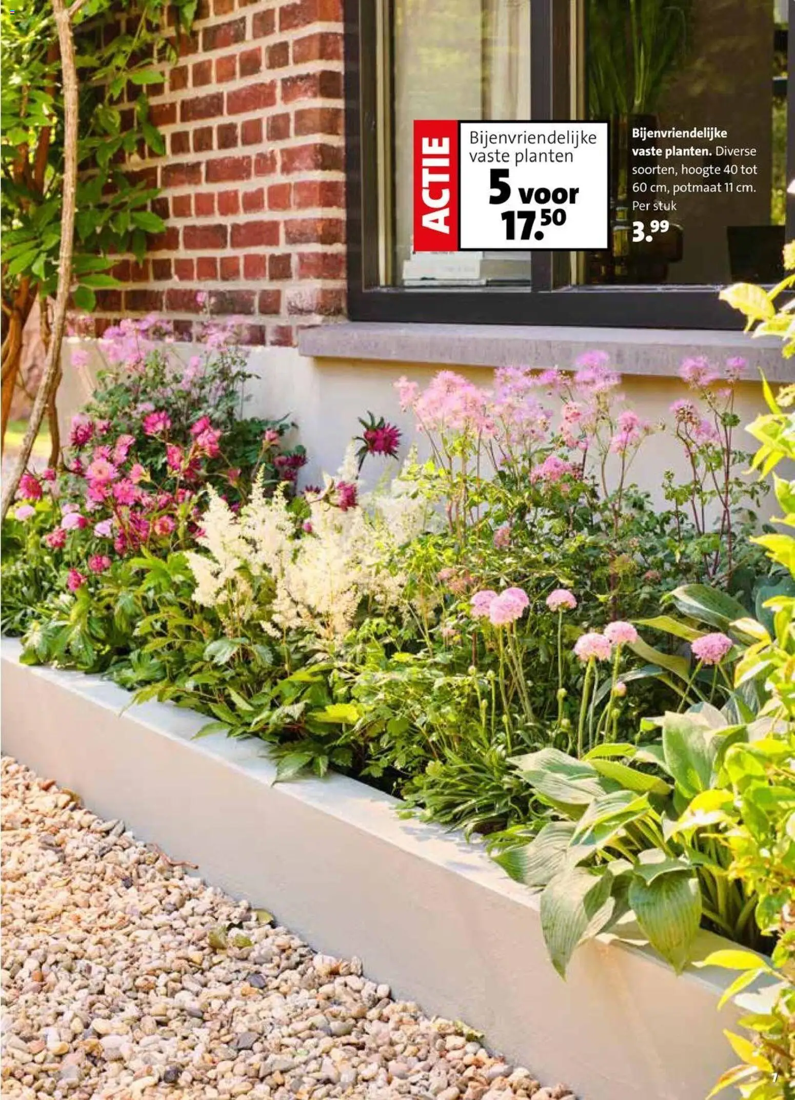 Intratuin folder - page 7- valid from 30-03-2026