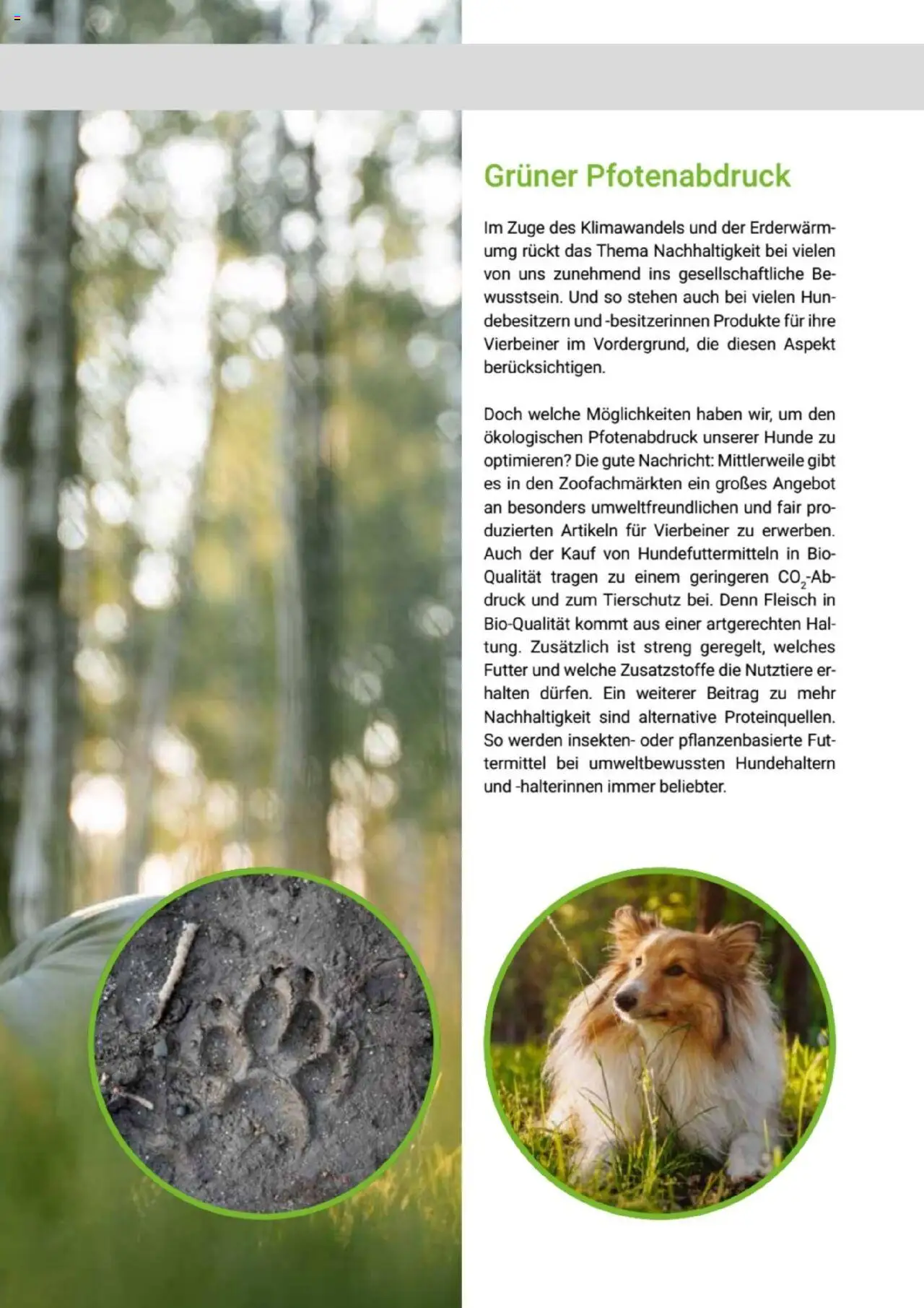 zookauf  Themenkatalog Hund - Seite 59 - gültig ab 20.05.2025