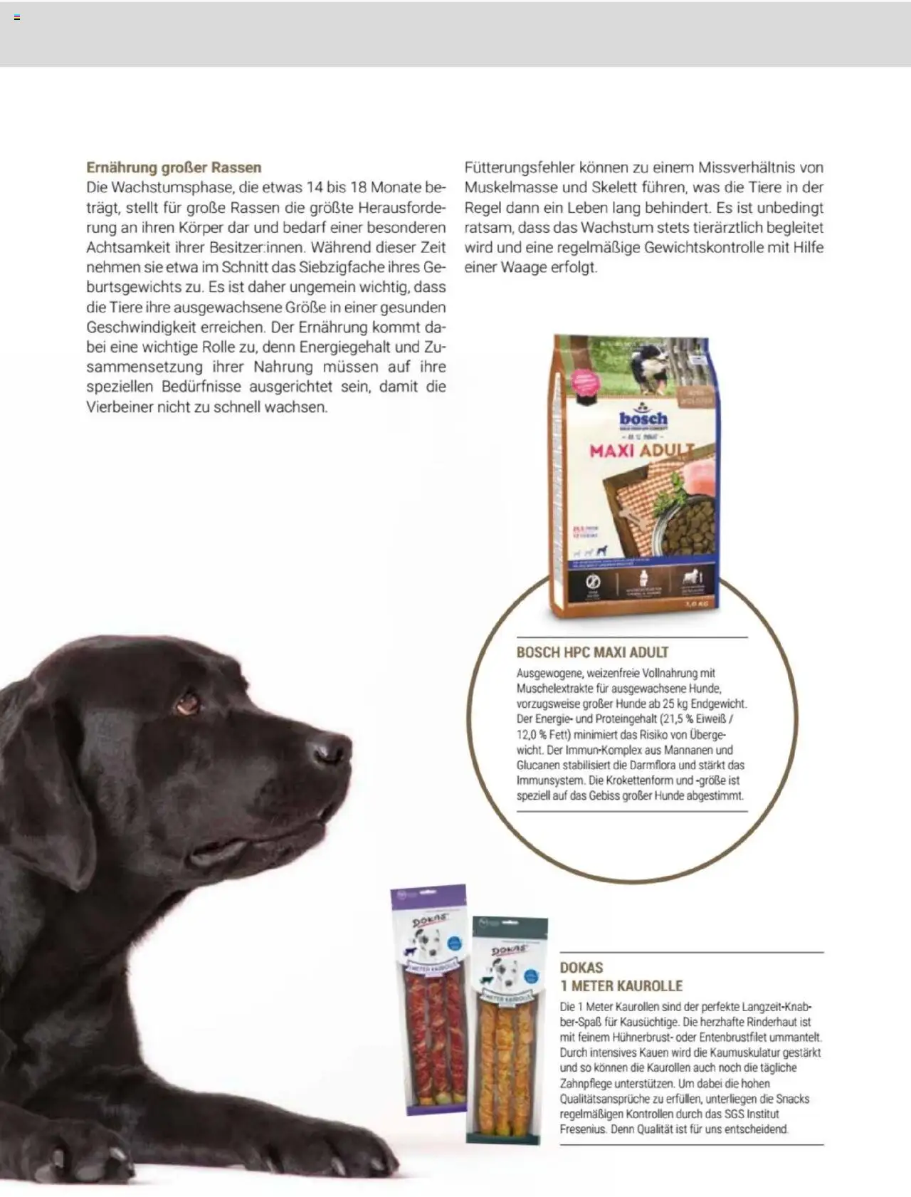 zookauf  Themenkatalog Hund - Seite 27 - gültig ab 20.05.2025