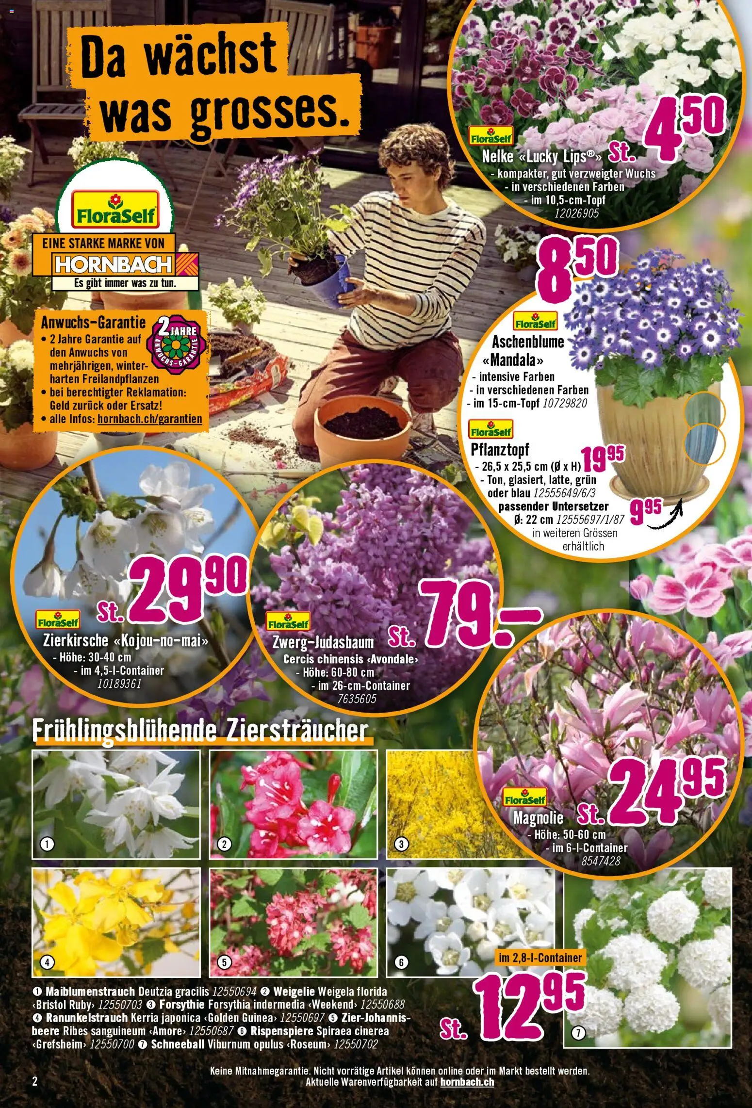 Hornbach aktionen - page 2- valid from 27.03.2026