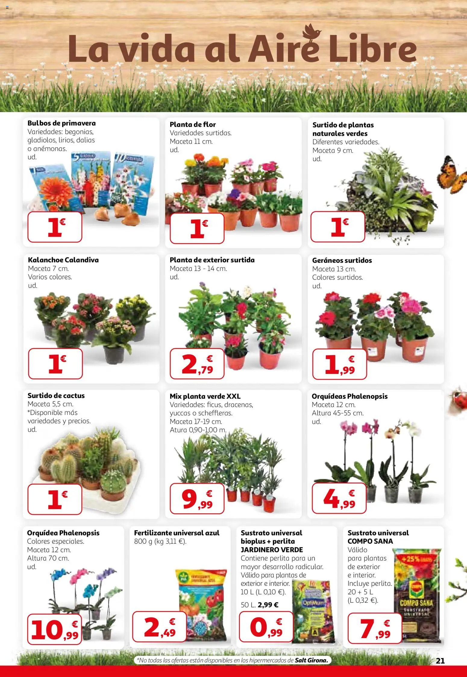 Alcampo - HP Catalán - Página de 21 - Válido desde 26/02/2026