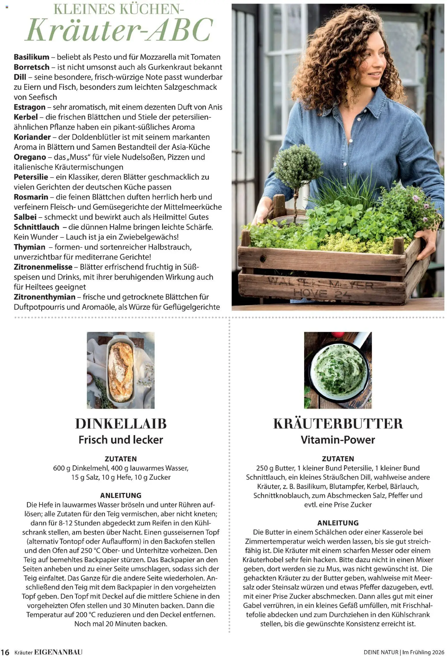 Dehner Prospekt 	 - Seite 16 - gültig ab 04.03.2026