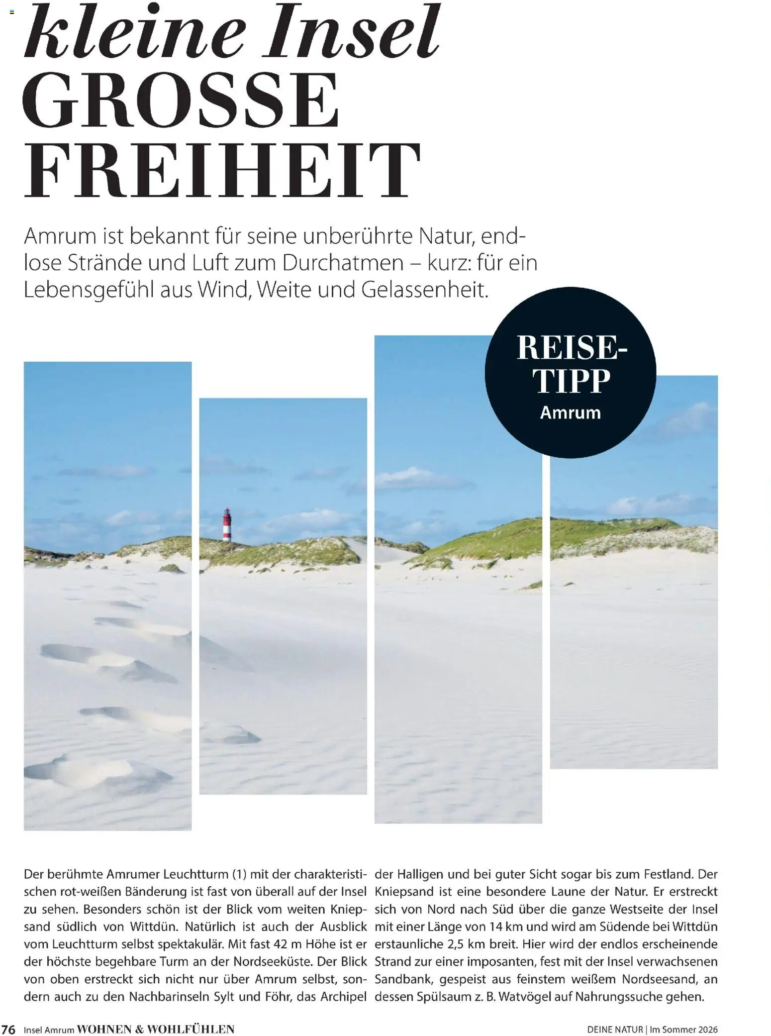 Dehner Prospekt 	 - Seite 76 - gültig ab 17.04.2026