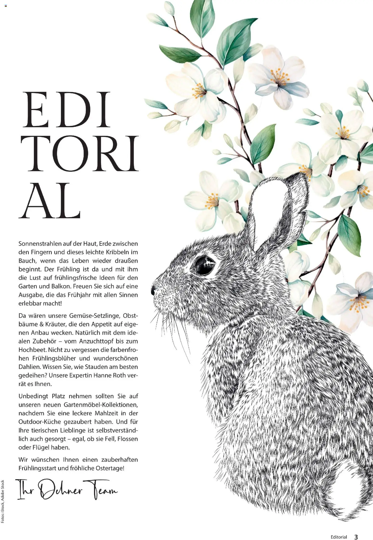 Dehner Flugblatt - page 3- valid from 05.03.2026