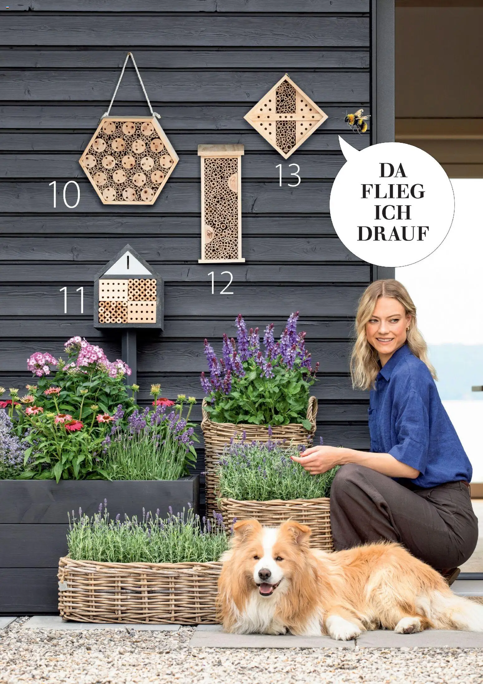 Dehner Prospekt 	 - Seite 95 - gültig ab 04.03.2026