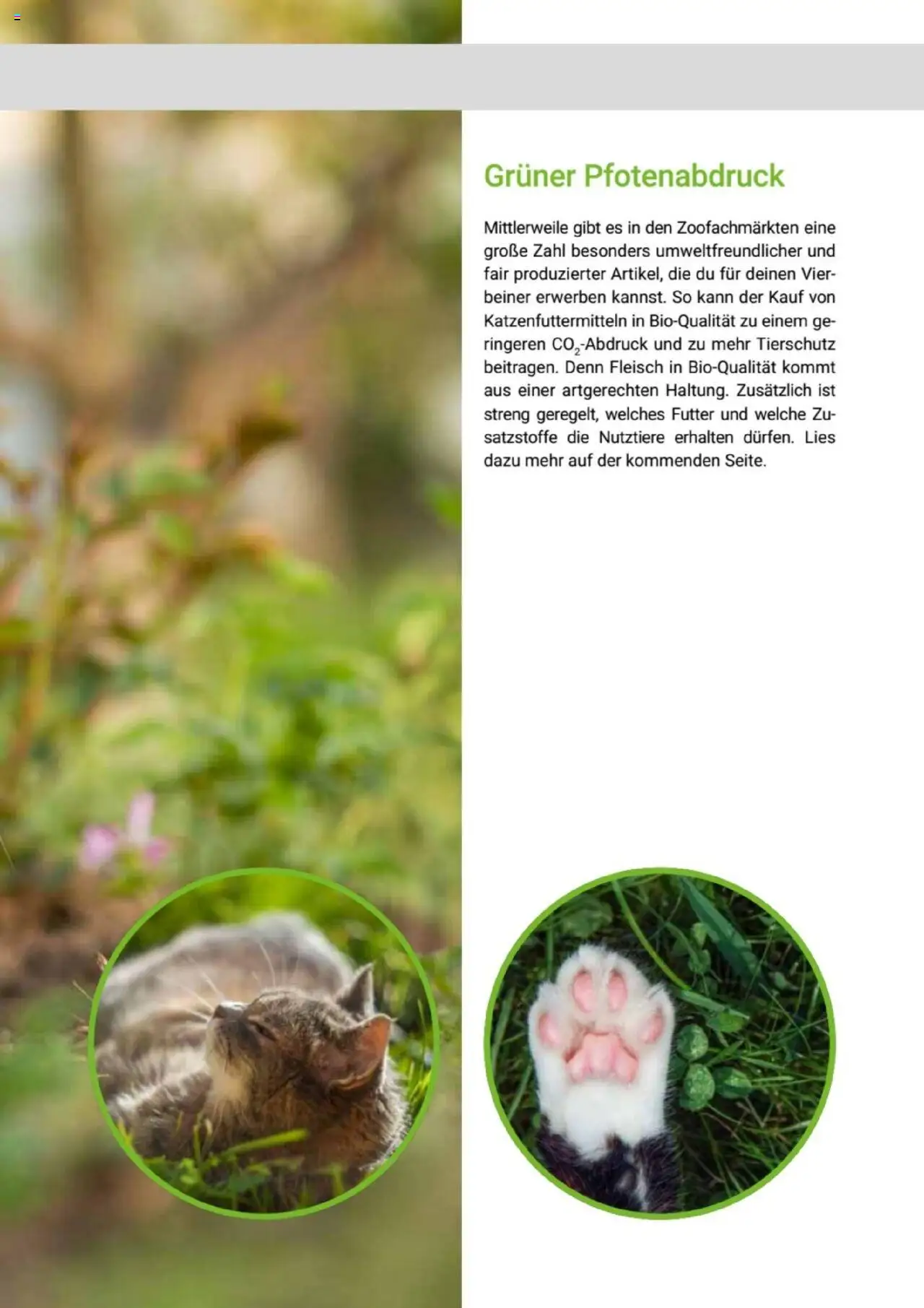 zookauf Themenkatalog Katze - Seite 57 - gültig ab 01.10.2025