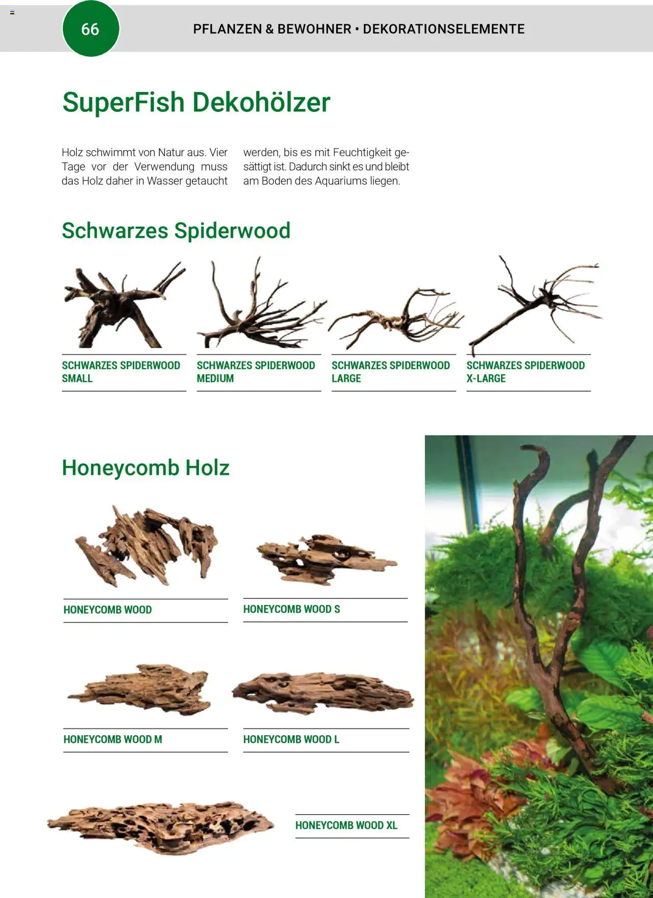 zookauf Aquaristik - Seite 66 - gültig ab 24.09.2024