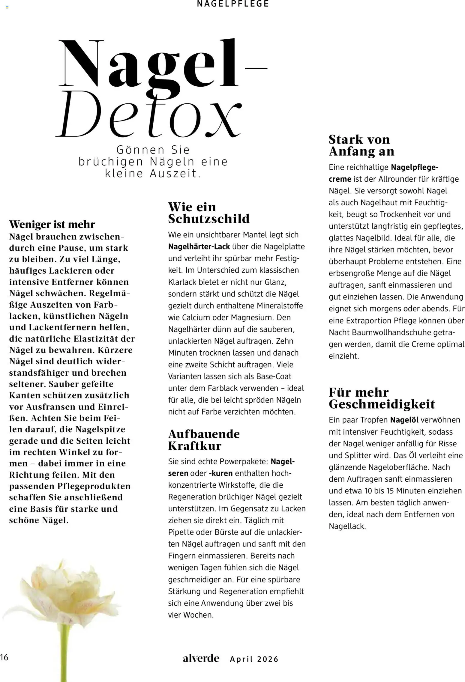 dm drogerie Prospekt 	 - Seite 16 - gültig ab 01.04.2026