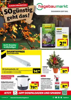 Vorschau Hagebau Flugblatt gültig ab 21.10.2025