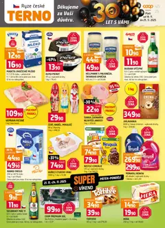 Náhled Terno leták platný od 19.11.2025