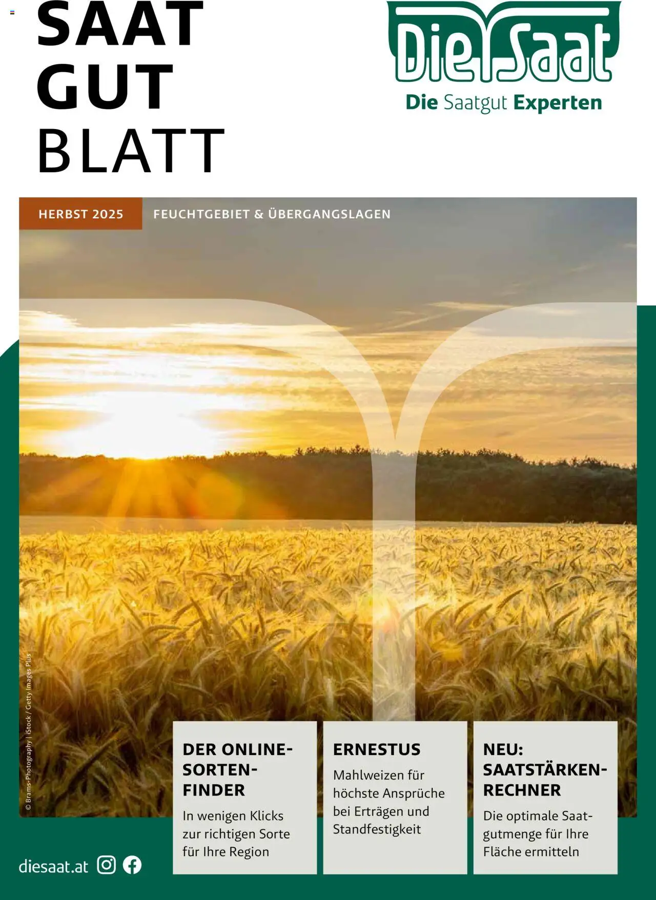 Lagerhaus Saatzeitung Herbst Feuchtgebiet - Seite 1- gültig ab 01.09.2025