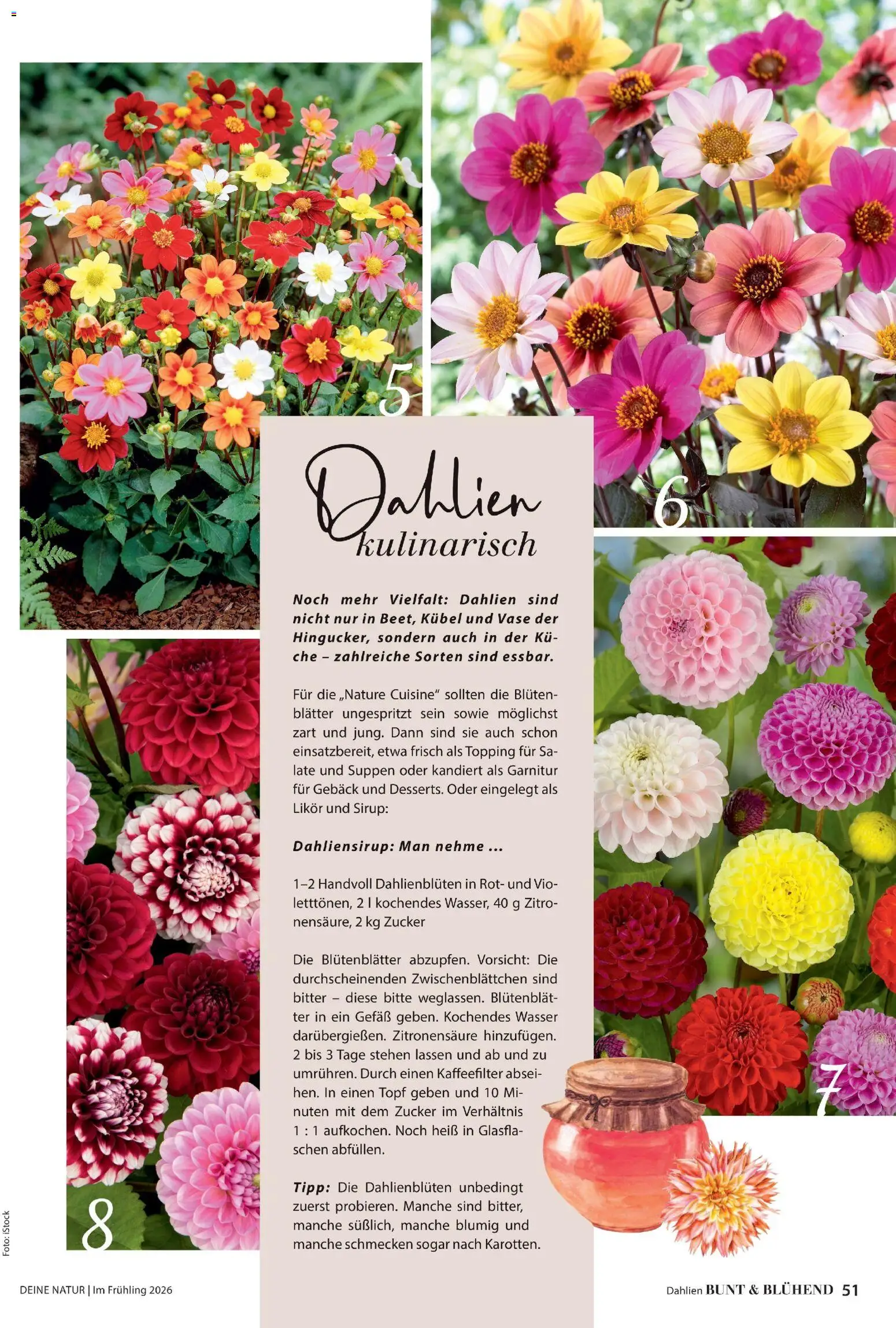 Dehner Flugblatt - page 51- valid from 05.03.2026