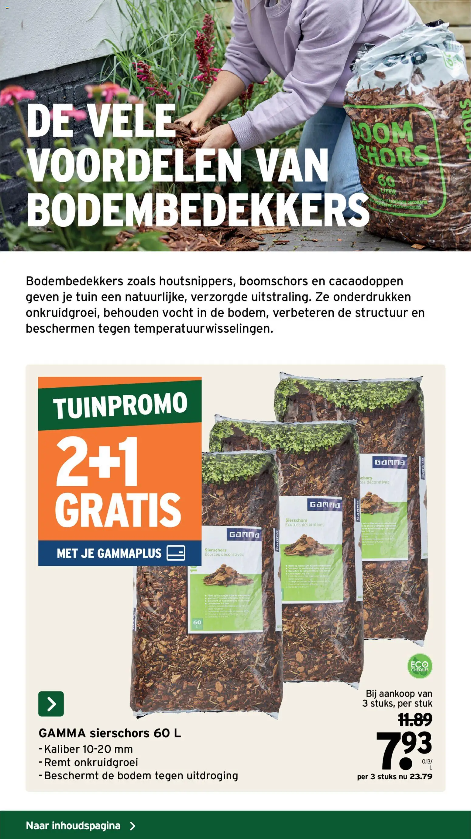GAMMA -Tuinspecial kluseditie - page 36- valid from 11/02/2026