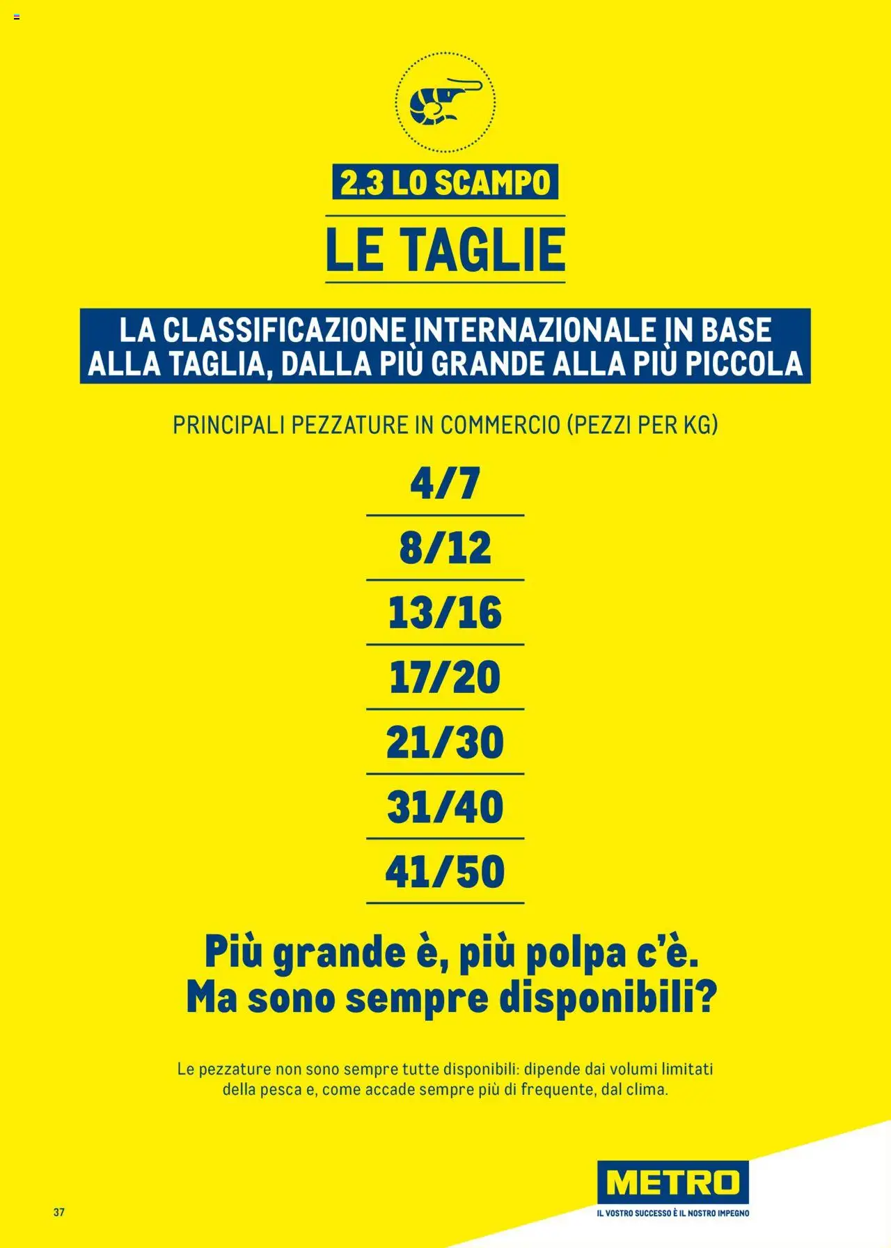 Metro Surgelati 2025 catalogo - pagina 37 - valido dal 30/06/2025